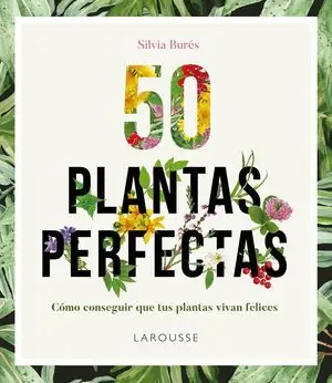 Envío Inmediato 50 PLANTAS PERFECTAS
