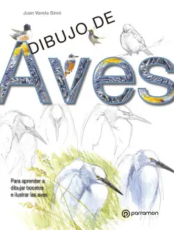Dibujo de aves Bestseller