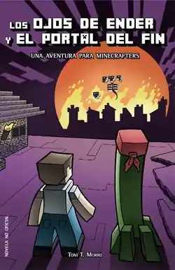 Alta Calidad Ojos De Ender Y Portal Fin