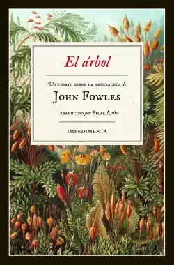 Oferta De Temporada El árbol