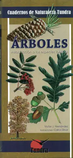 Precio De Oferta ÁRBOLES