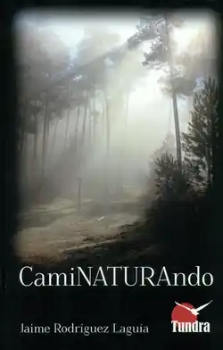 Barato Caminaturando