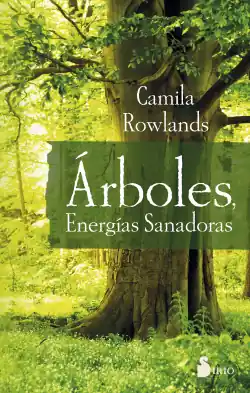 ÁRBOLES Directo De Fábrica