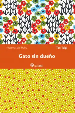 Precio Económico Gato sin dueño