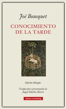 Oferta Especial Conocimiento de la tarde