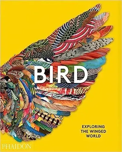 BIRD EXPLORING THE WINGED WORLD BIRD EXPLORING THE WINGED WORLD Solo Hoy