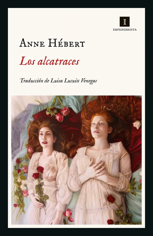 Novedad Los alcatraces
