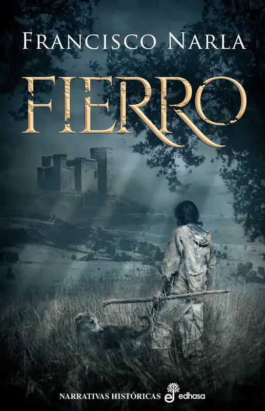 Fierro Precio Económico