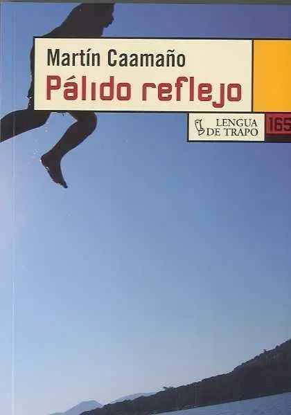 Pago Seguro Pálido Reflejo
