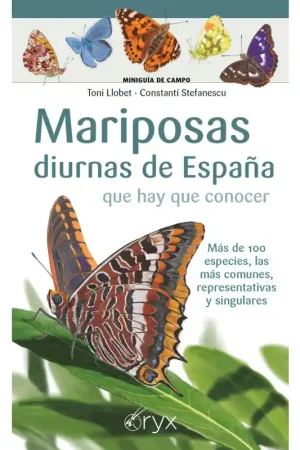 MARIPOSAS DIURNAS DE ESPAÑA QUE HAY QUE CONOCER Oferta