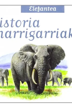 ELEFANTEA, HISTORIA HARRIGARRIAK Promoción