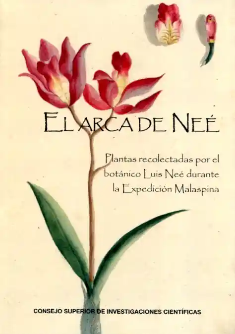 Ordena Ya El arca de Neé