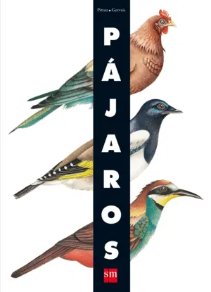 PÁJAROS Promoción